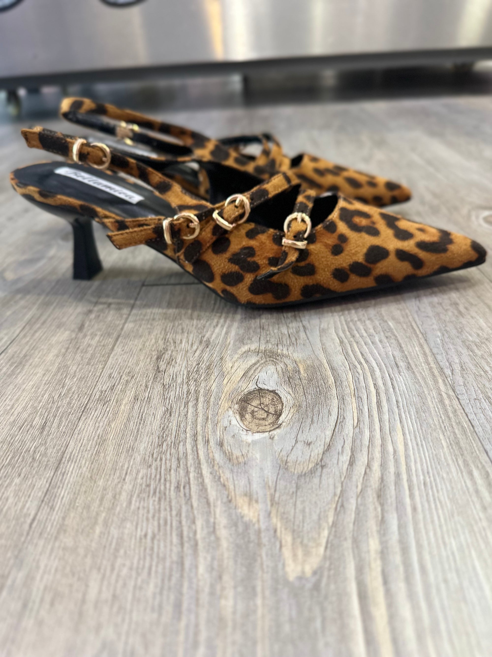 Calzado salón sofisticado leopardo